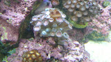 P1050441.JPG