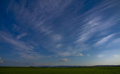 20090518182120012___Vorderpfalz