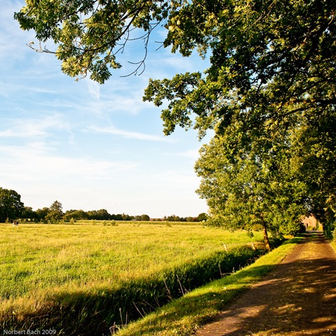 [20090819-Mittwoch[2].jpg]