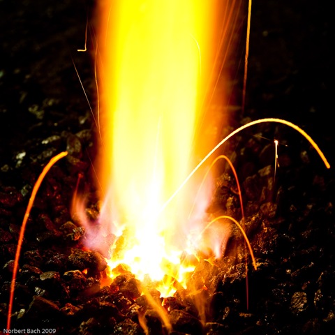 [20090822-Samstag[2].jpg]