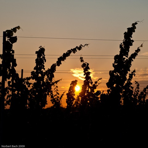 [20090906-Sonntag[2].jpg]