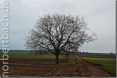 2011-02-08---08-37---20110208083725360