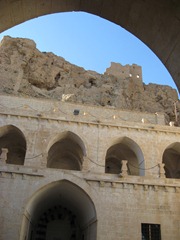 IMG_0517