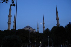 DSC01842