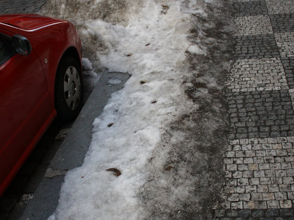 praga_coco_neve.JPG