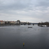 IMG_3929.JPG