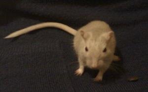 [179077_498725450107_635075107_6782538_4489495_n[3].jpg]