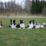 Fabi med Elliot, Kopy, Kengu, Buddy, Sløjfe og Enzo