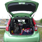 Sådan er bilen pakket, når vi kører til træning (AG-træning i Hillerød Hundevenner)