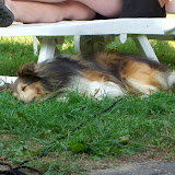 Zzzzzzzz