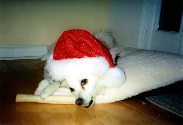 [dollySanta058[2].jpg]