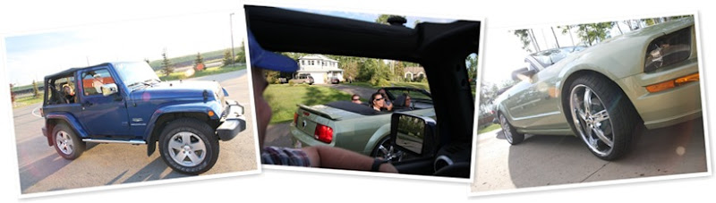 View cars