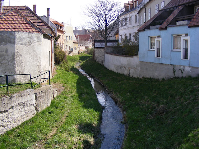 Kép