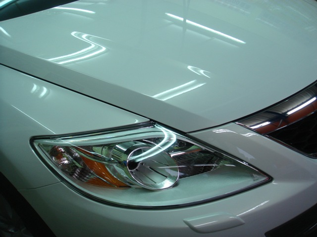 [DSC06545[2].jpg]
