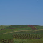 PICT1301.JPG