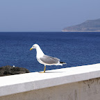 PICT1354.JPG