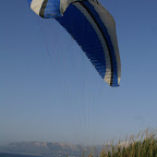 PICT0736.JPG