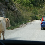 PICT0830.JPG