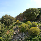 PICT0825.JPG