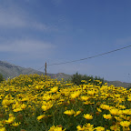 PICT0780.JPG