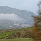 PICT0969.JPG