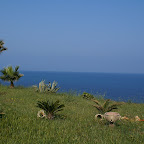 PICT0977.JPG