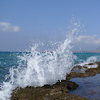 PICT1153.JPG
