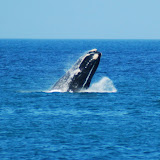  &ndash; Picture taken from the shore in Kalk Bay &ndash; 04-Oct-2009