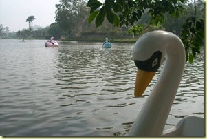 IMG_0688 IMG_0688