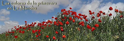 los colores de la primavera