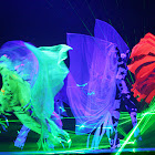 2007-12-19-02.jpg