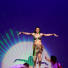 IMG_5878__.jpg