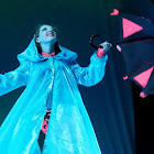 IMG_5805.jpg