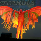 IMG_5707.JPG