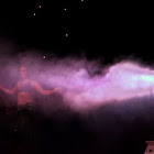 IMG_6222.jpg
