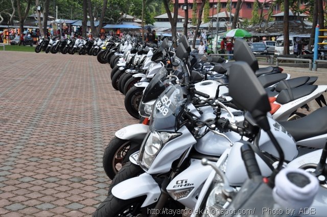 [FERNOPD3303.jpg]