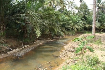 [sungai2[4].jpg]