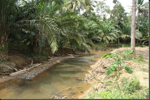 sungai2