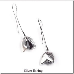 [silver 2[3].jpg]