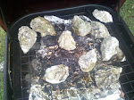 2010-03-05 17.23.27.jpg