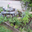 Africanaussie's herb spiral garden