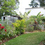 Africanaussie's bird and butterfly  garden