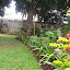 Africanaussie's Tropical garden
