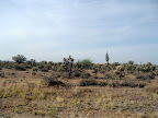 Arizona Desert
