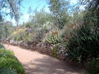Cactus Farm