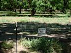 Do Not Pick Pecans