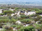 Desert