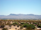Texas Mountains