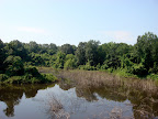Scenery