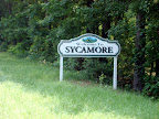 Syacamore